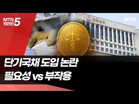 약인가 독인가…스테이블코인 담보용 단기국채 도입 논란 / 머니투데이방송 (뉴스)