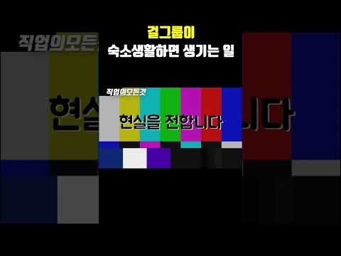 걸그룹이 숙소생활하면 생기는 일