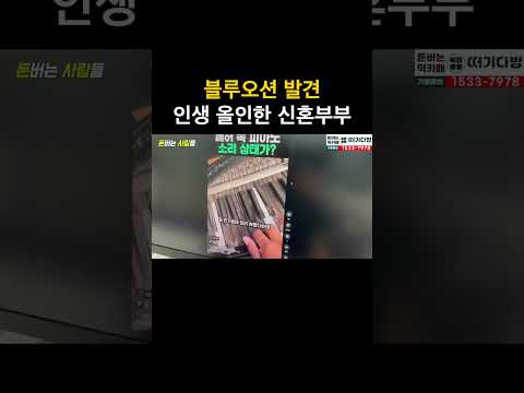 유튜브에 인생 올인한 신혼부부