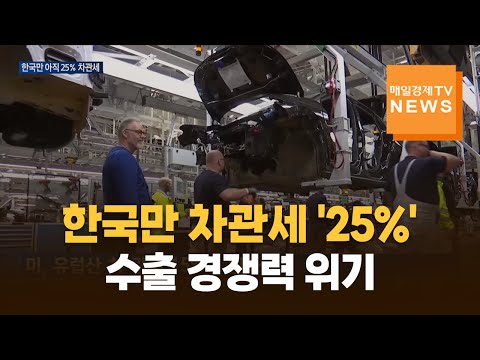 한국은 아직 25%…미국, 일본 이어 유럽차 관세 15% 확정