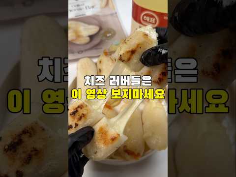 치즈 러버 친구한테 이 영상 보내니까 멱살 잡혔습니다