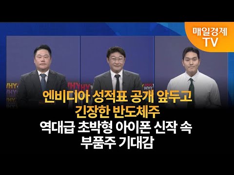 [궁금한 종목 Y] 야간투자본부/ 야자본/ 궁금한 종목 Y/ 변영인 기업공시연구소 대표/ 이화진 iM증권 도곡WM센터 과장/ 매일경제 TV