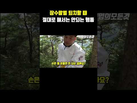 장수말벌 퇴치할 때 절대로 해서는 안 되는 행동