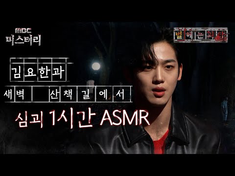 [별 헤는 괴담] 김요한과 새벽 산책길에서 심괴 1시간 ASMR #심괴 #어둑시니 #midnight #horrorstory MBC221222방송