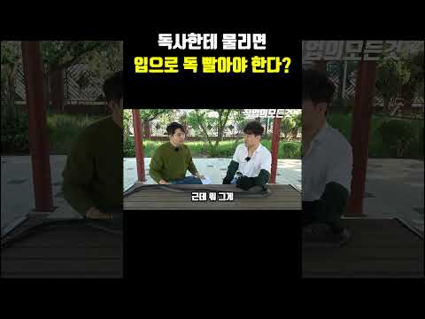 독사한테 물리면 입으로 독 빨아야 한다?