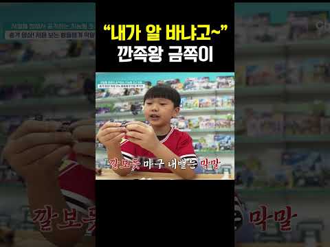 어쩔티비~저쩔티비~ 남의 말 무시하는 깐족왕 금쪽이 #금쪽같은내새끼