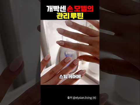 개빡센 손모델의 관리루틴